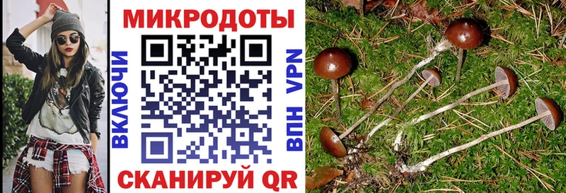 цены   Киров  Галлюциногенные грибы ЛСД 